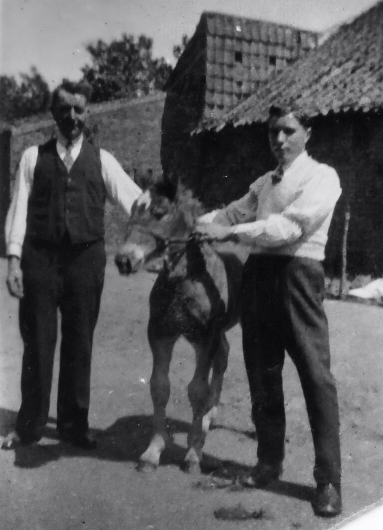 opa Sjeng Schmitz, Jan ??

(foto nr. 017)