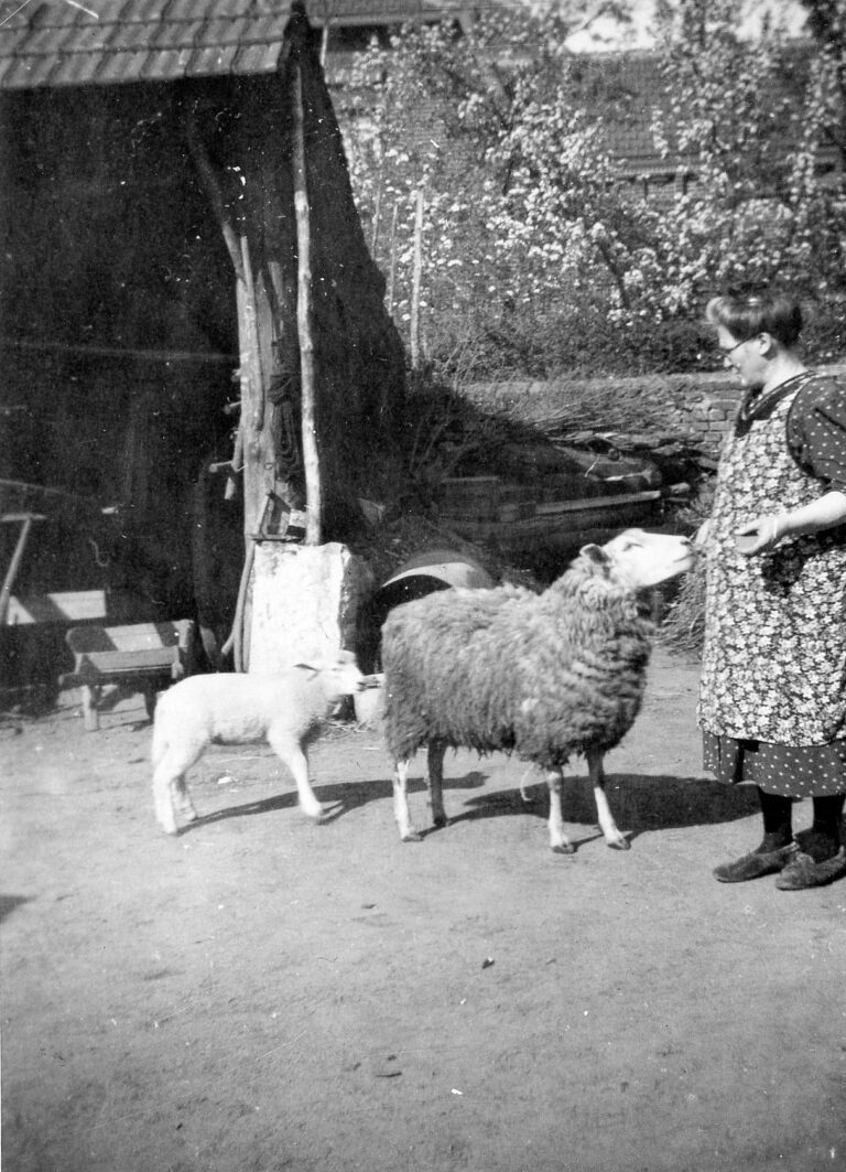 Maria Schmitz-Wolters
 (foto 044-1)