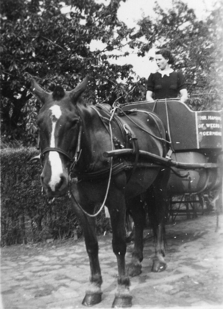 Agnes (Jes) Schmitz op de melkwagen
(foto nr: 053-1)