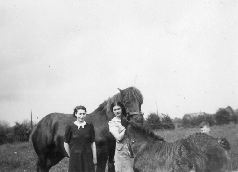 Agnes (Jes) Schmitz en Ald Hamans, bij de paarden. Net zichtbaar boven de rug van het veulen Har Pollaert ??
(foto nr 057-1)