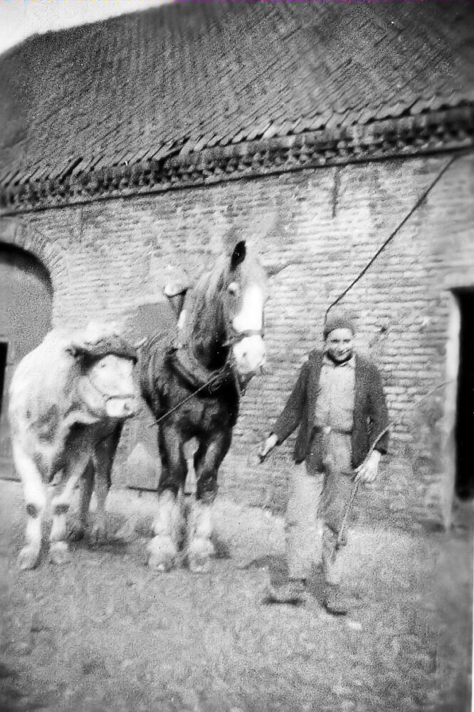 Har Schmitz
  (foto nr: 132-1)