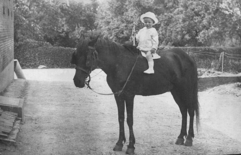 GJM (Sjra) Hamans te paard (1918?)
Boerderij de Weerd 3, Roermond
nr. Ham 153-1