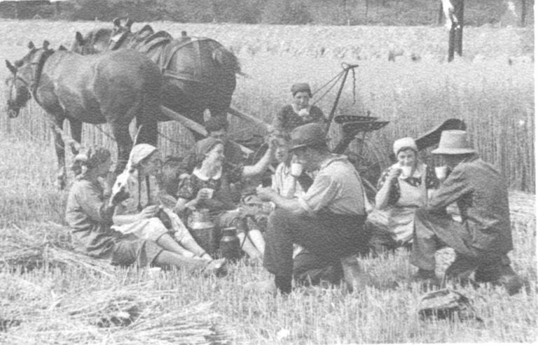 oogsttijd 2 Maaipauze