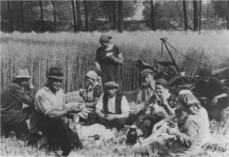 oogsttijd Hamans ten zuiden vd Rijksweg